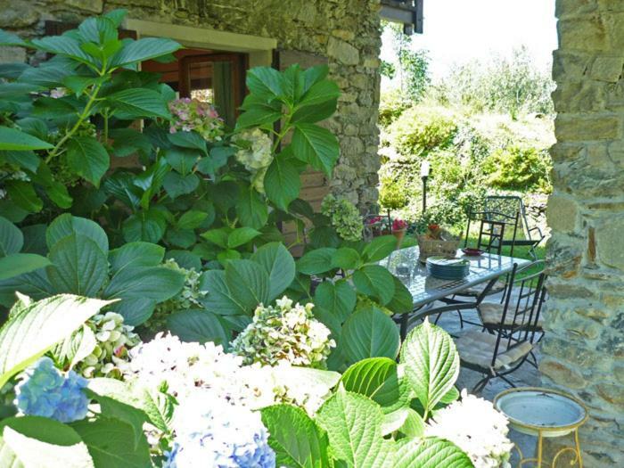 Villa Erica Con Piscina Privata Sul Lago Di Como Colico Exteriér fotografie