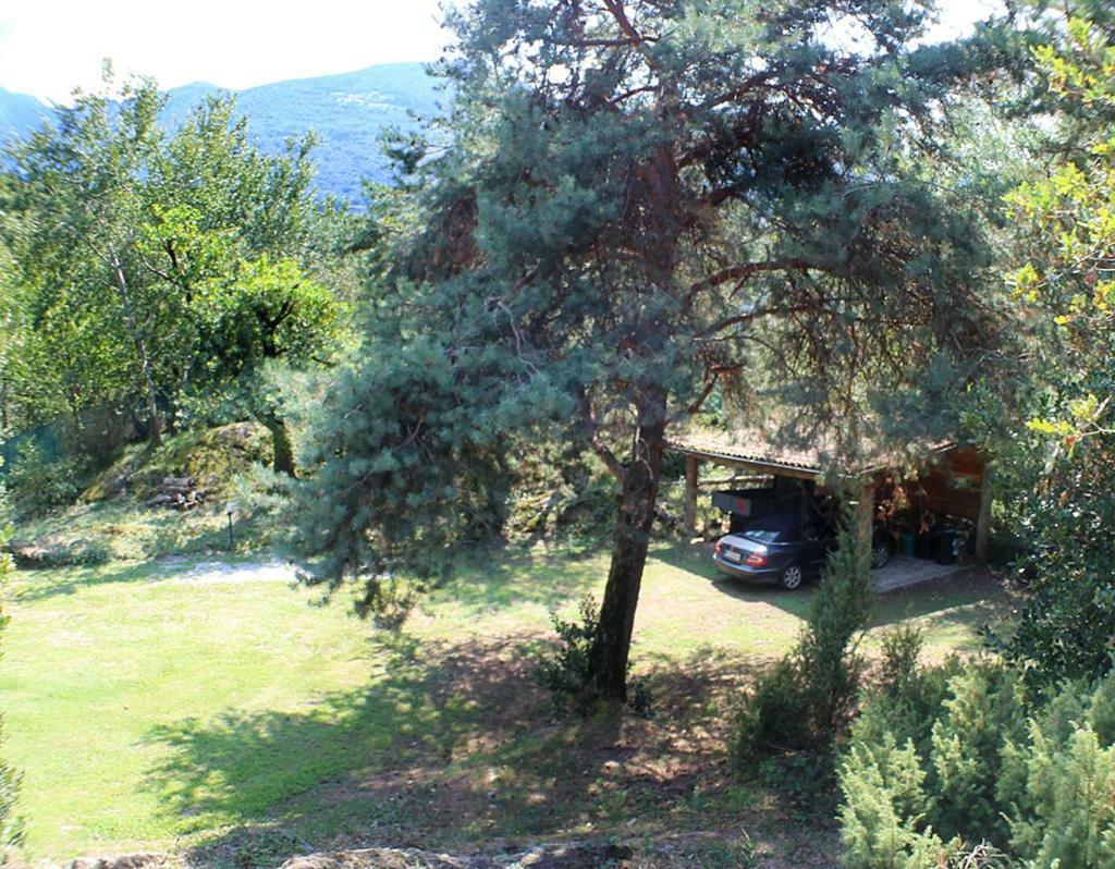 Villa Erica Con Piscina Privata Sul Lago Di Como Colico Exteriér fotografie